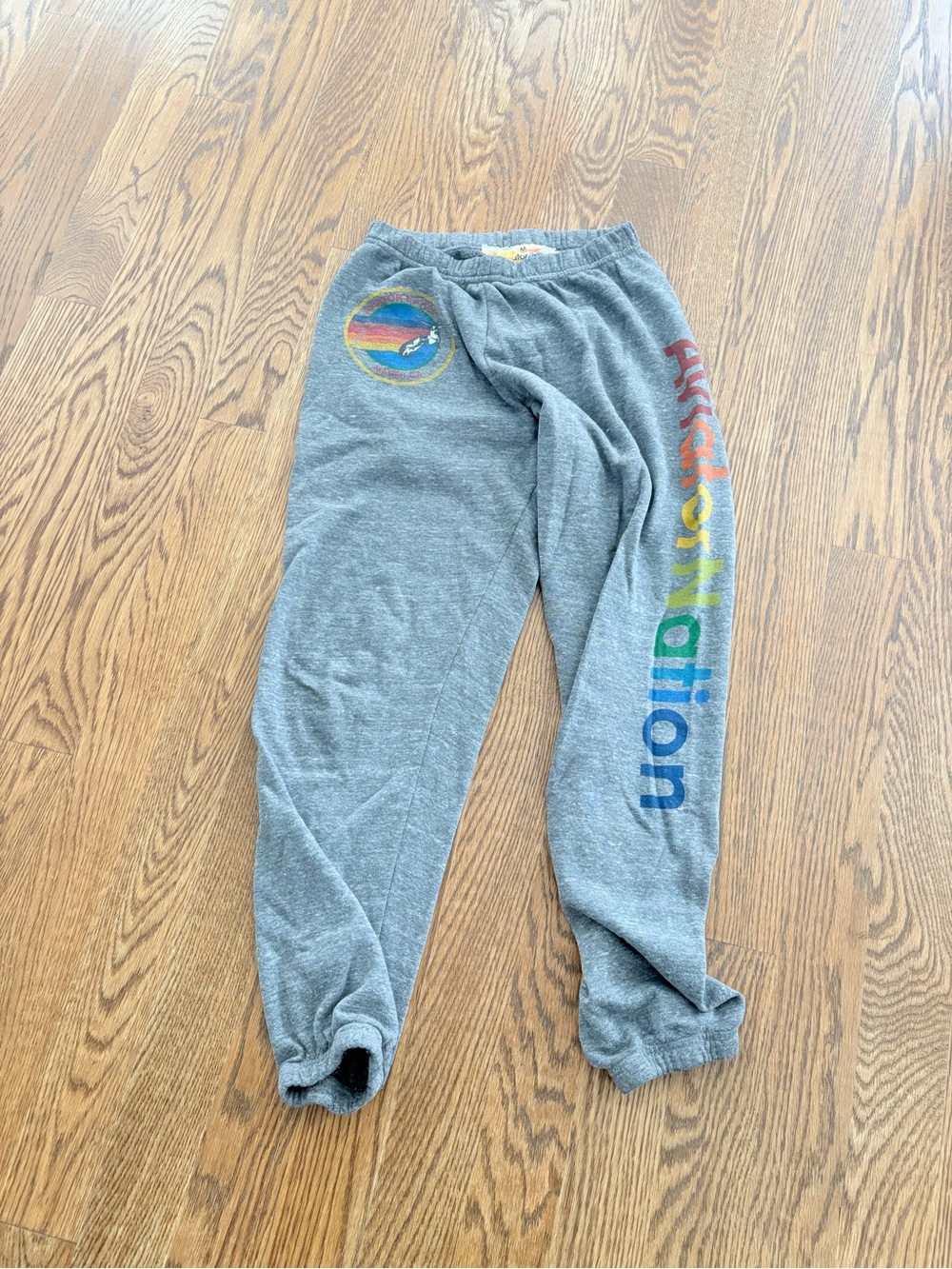 Aviator Nation Gray Rainbow-Logo Sweatpants